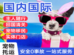 南宁吴圩机场空运国际宠物托运 【国